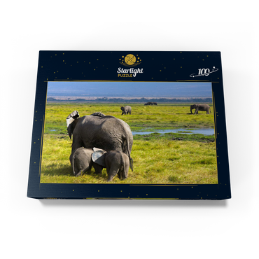 Elephants (Loxodonta africana) in Amboseli National Park 100 Jigsaw Puzzle box view1