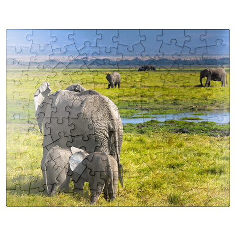 puzzleplate Elephants (Loxodonta africana) in Amboseli National Park 100 Jigsaw Puzzle