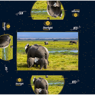 Elephants (Loxodonta africana) in Amboseli National Park 100 Jigsaw Puzzle box 3D Modell