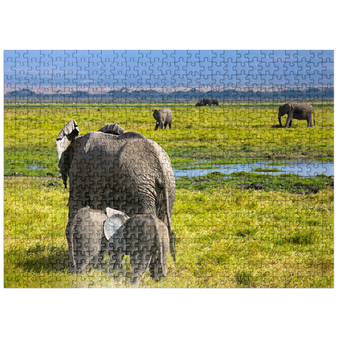 puzzleplate Elephants (Loxodonta africana) in Amboseli National Park 500 Jigsaw Puzzle