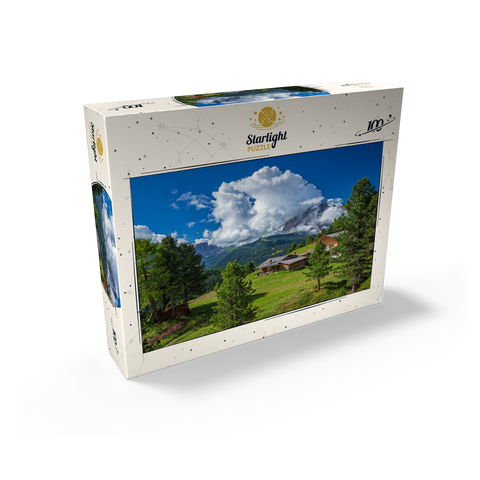 On the Col Raiser against Sassolungo (3181m), S. Cristina in Val Gardena, Dolomites, Trentino-Alto Adige 100 Jigsaw Puzzle box view1