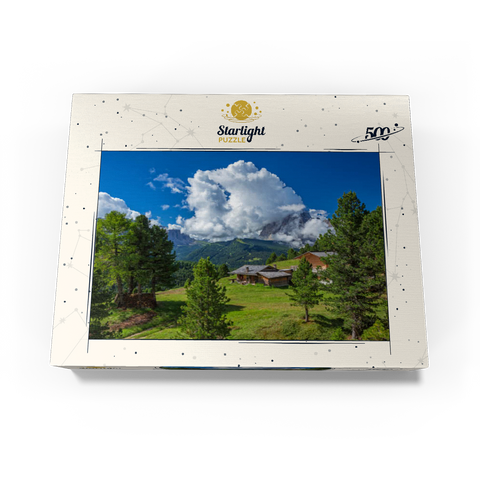 On the Col Raiser against Sassolungo (3181m), S. Cristina in Val Gardena, Dolomites, Trentino-Alto Adige 500 Jigsaw Puzzle box view1