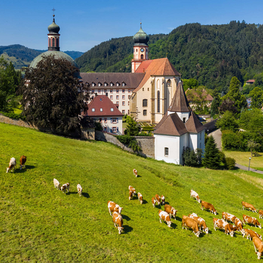 St. Trudpert Monastery in the Munster Valley in the Southern Black Forest 500 Jigsaw Puzzle 3D Modell