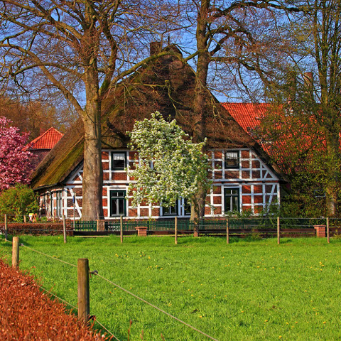 Farmhouse in Sauensiek, Lower Saxony, Germany 100 Jigsaw Puzzle 3D Modell