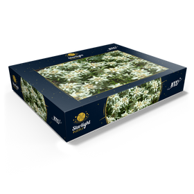1000