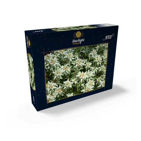 Edelweiss (Leontopodium) 1000 Jigsaw Puzzle box view1