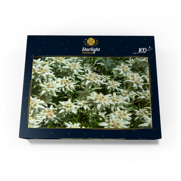Edelweiss (Leontopodium) 100 Jigsaw Puzzle box view1