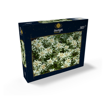 Edelweiss (Leontopodium) 500 Jigsaw Puzzle box view1