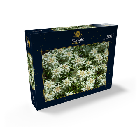Edelweiss (Leontopodium) 500 Jigsaw Puzzle box view1