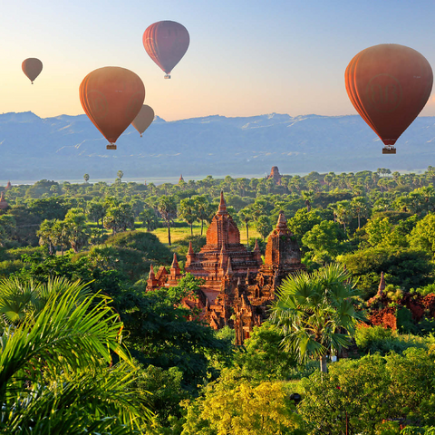 Hot air balloons over the plain of the pagodas, Myanmar (Burma) 500 Jigsaw Puzzle 3D Modell
