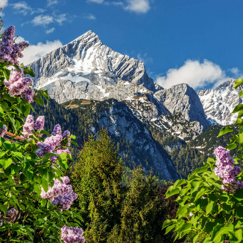 Alpspitze (2628m) with blooming lilac, Garmisch-Partenkirchen, Upper Bavaria, Bavaria, Germany 100 Jigsaw Puzzle 3D Modell