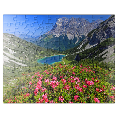 puzzleplate Blooming alpine roses at the Coburger hut against Seebensee (1657m) and Zugspitzgruppe (2962m) near Ehrwald 100 Jigsaw Puzzle