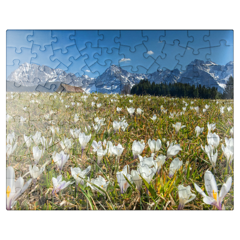 puzzleplate Crocus meadow at the Geroldsee near Gerold with view to the Karwendel mountains in springtime 100 Jigsaw Puzzle