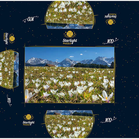 Crocus meadow at the Geroldsee near Gerold with view to the Karwendel mountains in springtime 100 Jigsaw Puzzle box 3D Modell