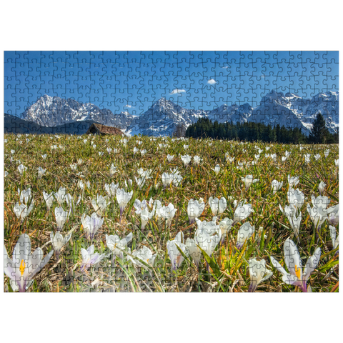 puzzleplate Crocus meadow at the Geroldsee near Gerold with view to the Karwendel mountains in springtime 500 Jigsaw Puzzle