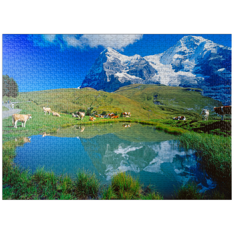 puzzleplate Cows at the pond against Eiger north face (3970m) and Mönch (4107m) 1000 Jigsaw Puzzle