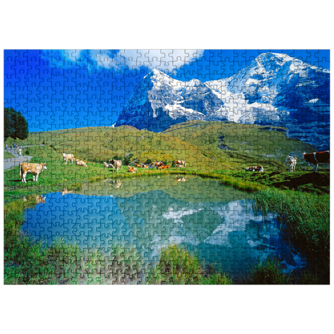 puzzleplate Cows at the pond against Eiger north face (3970m) and Mönch (4107m) 500 Jigsaw Puzzle