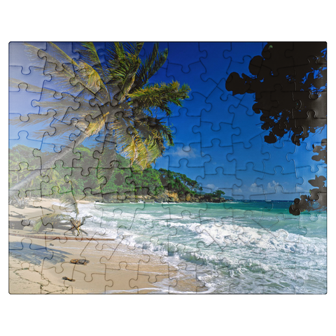 puzzleplate Cayo Levantado, Samana, Dominican Republic 100 Jigsaw Puzzle
