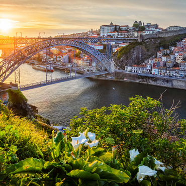 View over the river Douro to the old town Ribeira of Porto 100 Jigsaw Puzzle 3D Modell