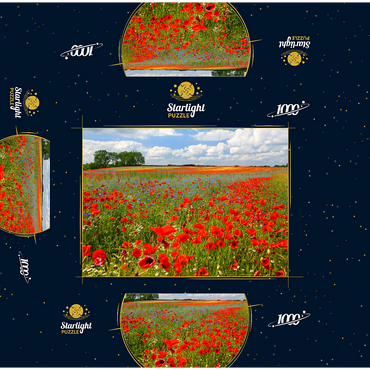 Poppy field near Schwerin 1000 Jigsaw Puzzle box 3D Modell