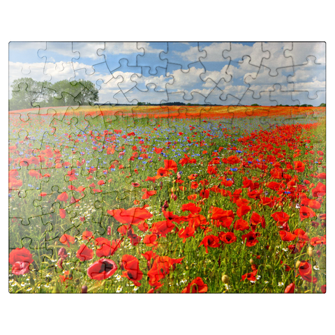 puzzleplate Poppy field near Schwerin 100 Jigsaw Puzzle