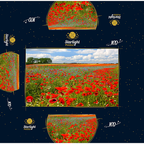 Poppy field near Schwerin 100 Jigsaw Puzzle box 3D Modell