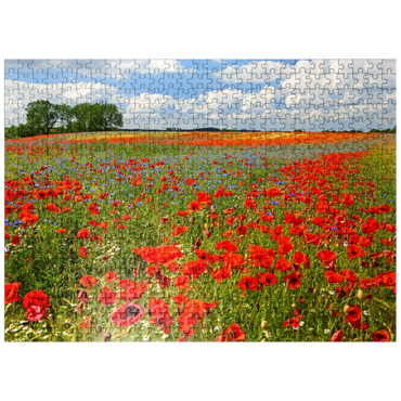 puzzleplate Poppy field near Schwerin 500 Jigsaw Puzzle