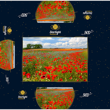 Poppy field near Schwerin 500 Jigsaw Puzzle box 3D Modell