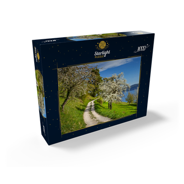 Blossom trail between Ludwigshafen and Sipplingen for the blossoming of trees in springtime 1000 Jigsaw Puzzle box view1