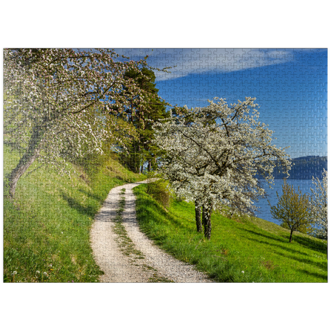 puzzleplate Blossom trail between Ludwigshafen and Sipplingen for the blossoming of trees in springtime 1000 Jigsaw Puzzle