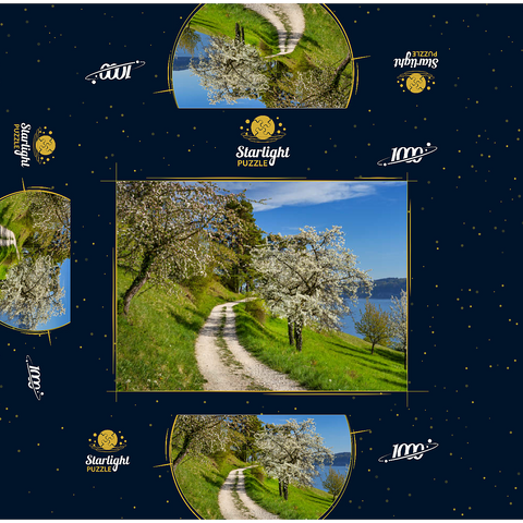 Blossom trail between Ludwigshafen and Sipplingen for the blossoming of trees in springtime 1000 Jigsaw Puzzle box 3D Modell
