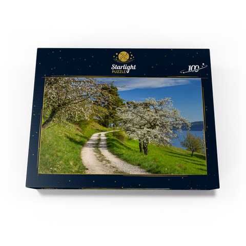 Blossom trail between Ludwigshafen and Sipplingen for the blossoming of trees in springtime 100 Jigsaw Puzzle box view1