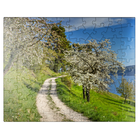 puzzleplate Blossom trail between Ludwigshafen and Sipplingen for the blossoming of trees in springtime 100 Jigsaw Puzzle