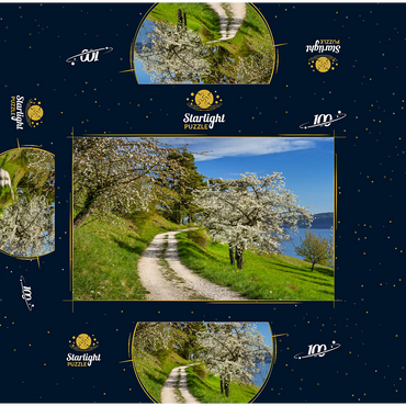 Blossom trail between Ludwigshafen and Sipplingen for the blossoming of trees in springtime 100 Jigsaw Puzzle box 3D Modell