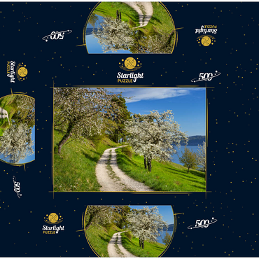 Blossom trail between Ludwigshafen and Sipplingen for the blossoming of trees in springtime 500 Jigsaw Puzzle box 3D Modell