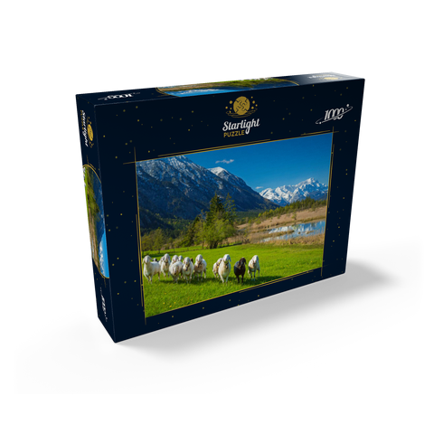 Sheep at the Seven Springs against Estergebirge and Zugspitzgruppe (2962m), Upper Bavaria 1000 Jigsaw Puzzle box view1