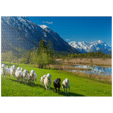 puzzleplate Sheep at the Seven Springs against Estergebirge and Zugspitzgruppe (2962m), Upper Bavaria 1000 Jigsaw Puzzle