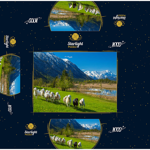 Sheep at the Seven Springs against Estergebirge and Zugspitzgruppe (2962m), Upper Bavaria 1000 Jigsaw Puzzle box 3D Modell