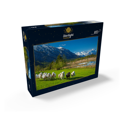 Sheep at the Seven Springs against Estergebirge and Zugspitzgruppe (2962m), Upper Bavaria 100 Jigsaw Puzzle box view1
