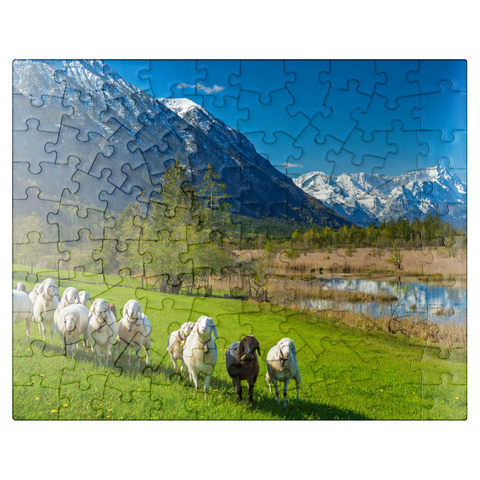 puzzleplate Sheep at the Seven Springs against Estergebirge and Zugspitzgruppe (2962m), Upper Bavaria 100 Jigsaw Puzzle