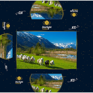 Sheep at the Seven Springs against Estergebirge and Zugspitzgruppe (2962m), Upper Bavaria 100 Jigsaw Puzzle box 3D Modell