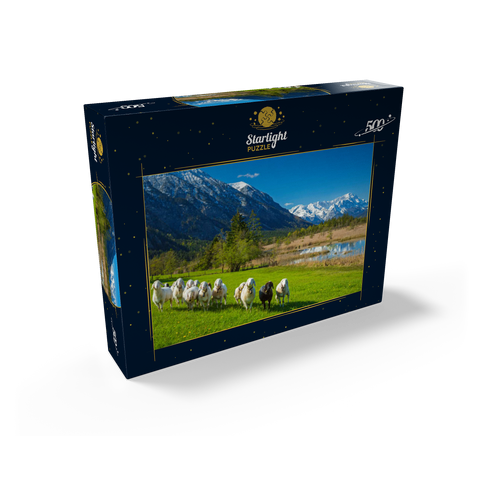 Sheep at the Seven Springs against Estergebirge and Zugspitzgruppe (2962m), Upper Bavaria 500 Jigsaw Puzzle box view1