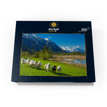 Sheep at the Seven Springs against Estergebirge and Zugspitzgruppe (2962m), Upper Bavaria 500 Jigsaw Puzzle box view1