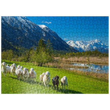 puzzleplate Sheep at the Seven Springs against Estergebirge and Zugspitzgruppe (2962m), Upper Bavaria 500 Jigsaw Puzzle