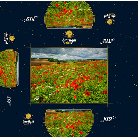 Poppy meadow near La Romieu 1000 Jigsaw Puzzle box 3D Modell