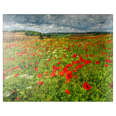 puzzleplate Poppy meadow near La Romieu 100 Jigsaw Puzzle