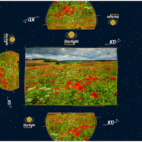 Poppy meadow near La Romieu 100 Jigsaw Puzzle box 3D Modell