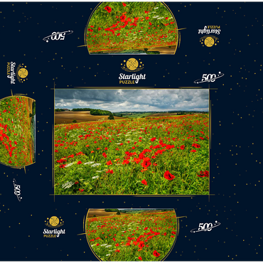 Poppy meadow near La Romieu 500 Jigsaw Puzzle box 3D Modell