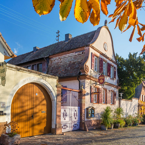 Winegrowers' houses in Rhodt unter Rietburg, southern wine route 1000 Jigsaw Puzzle 3D Modell