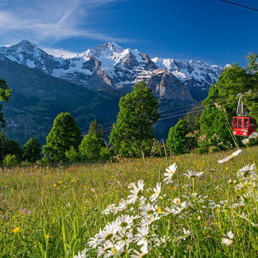 Isenfluh, hamlet Sulwald mountain station of the cable car against Eiger, Mönch and Jungfrau 100 Jigsaw Puzzle 3D Modell